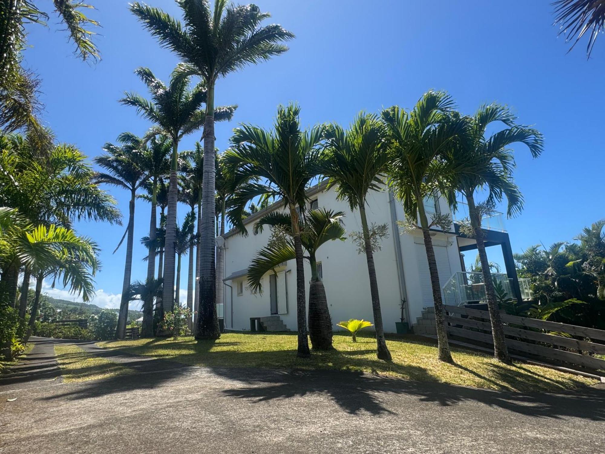 Grande Villa Au Calme - Vue Exceptionnelle - Climatisation - Piscine Sel Chauffee - Jardin Tropical Vincendo Esterno foto